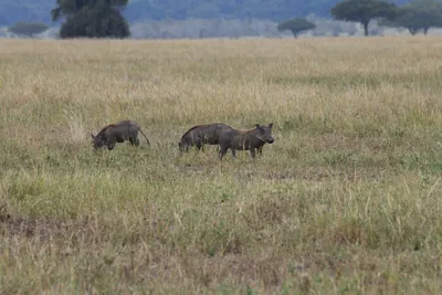 DSC_4067 (Large).JPG